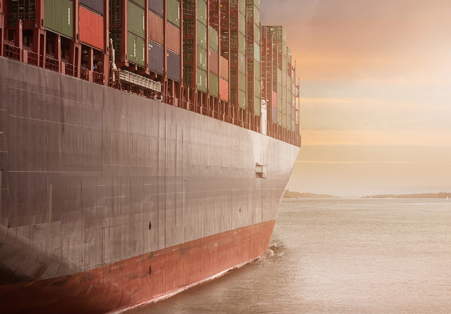 Warehouse / Logistics Service